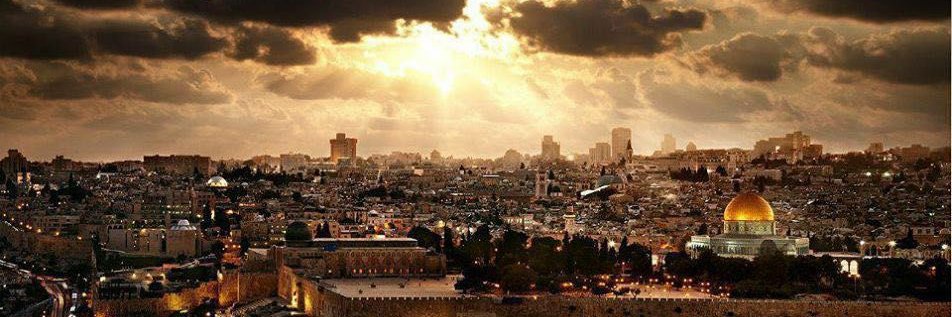 د. ابراهيم حمامي's banner