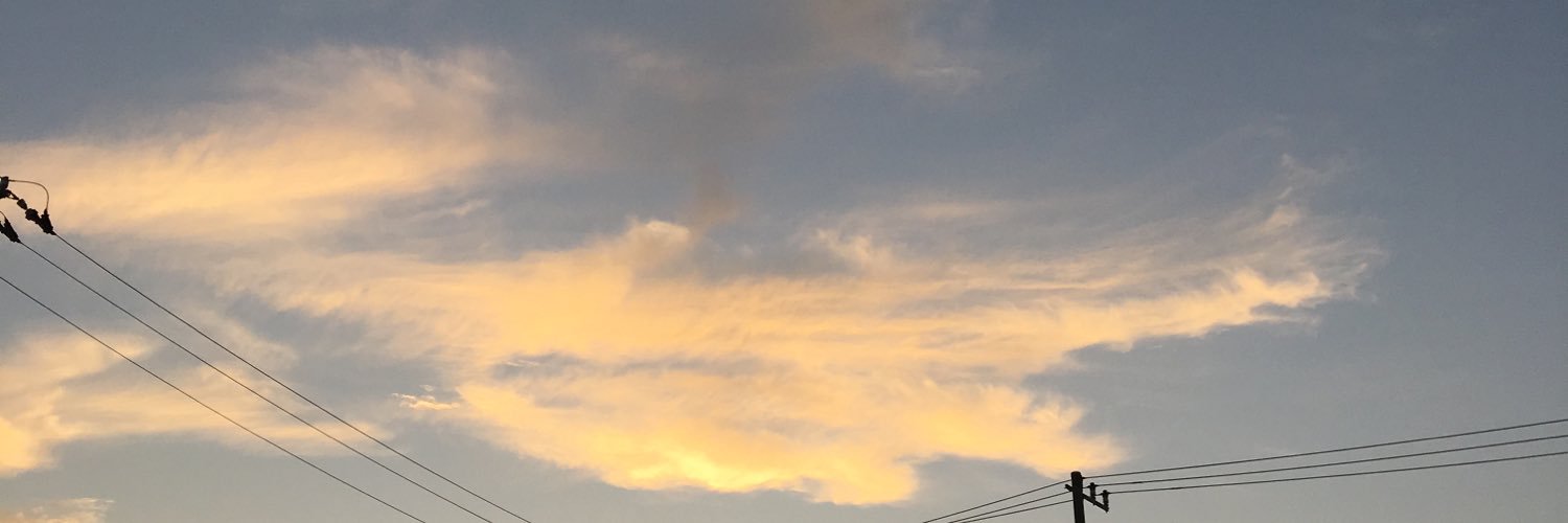 白井ゆかり@ウェザーニュースLiVE's banner