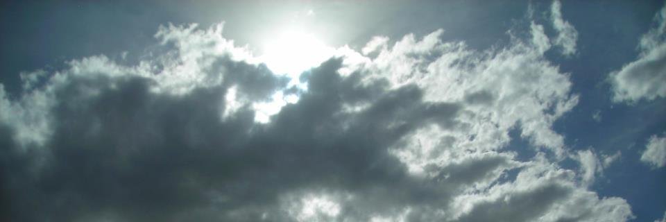 FeFo's banner