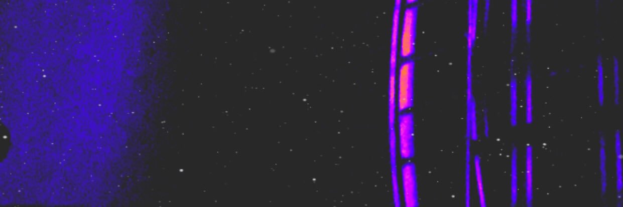 Brad Piter's banner
