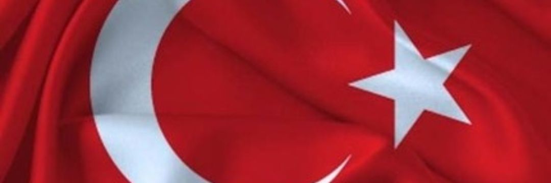 Selman ÖĞÜT's banner
