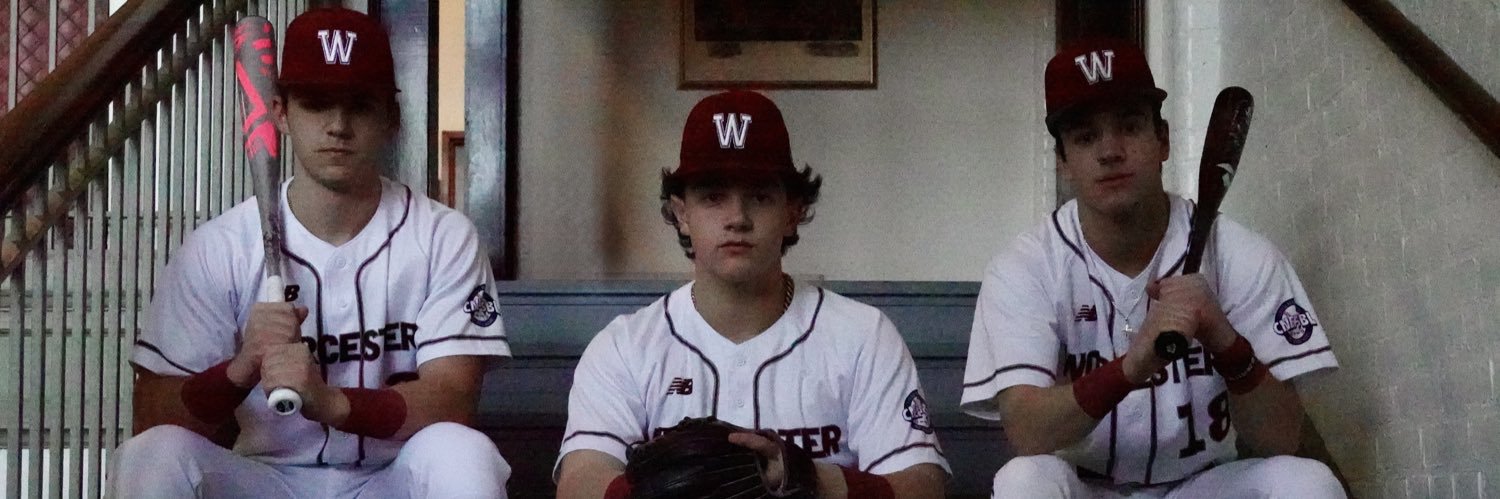 Worcester Baseball's banner