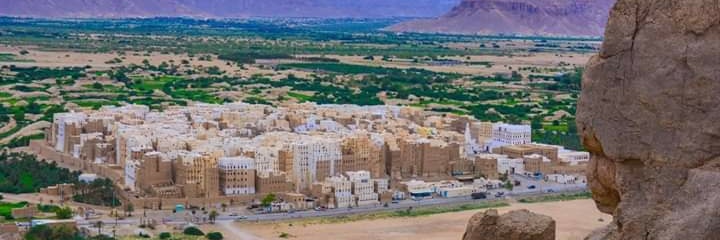 عوض محمد باشن's banner