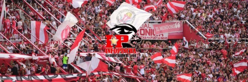 InfoPincha's banner