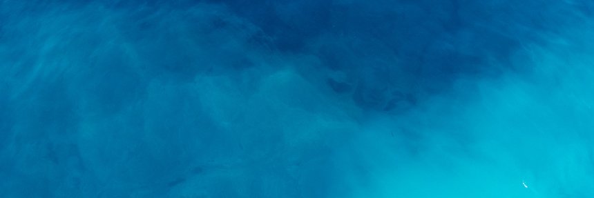 Dinero Febrero's banner