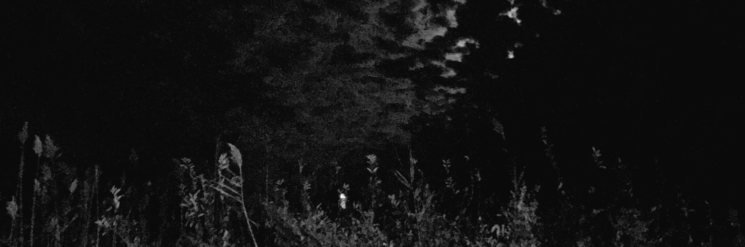 wicca phase springs eternal's banner