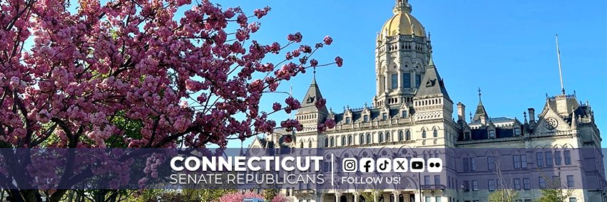 CT Senate Republicans's banner