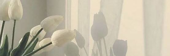 葉弥。@社畜's banner