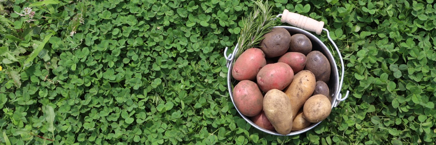 POTATO編集部's banner