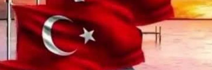 Cavit Karabulut's banner
