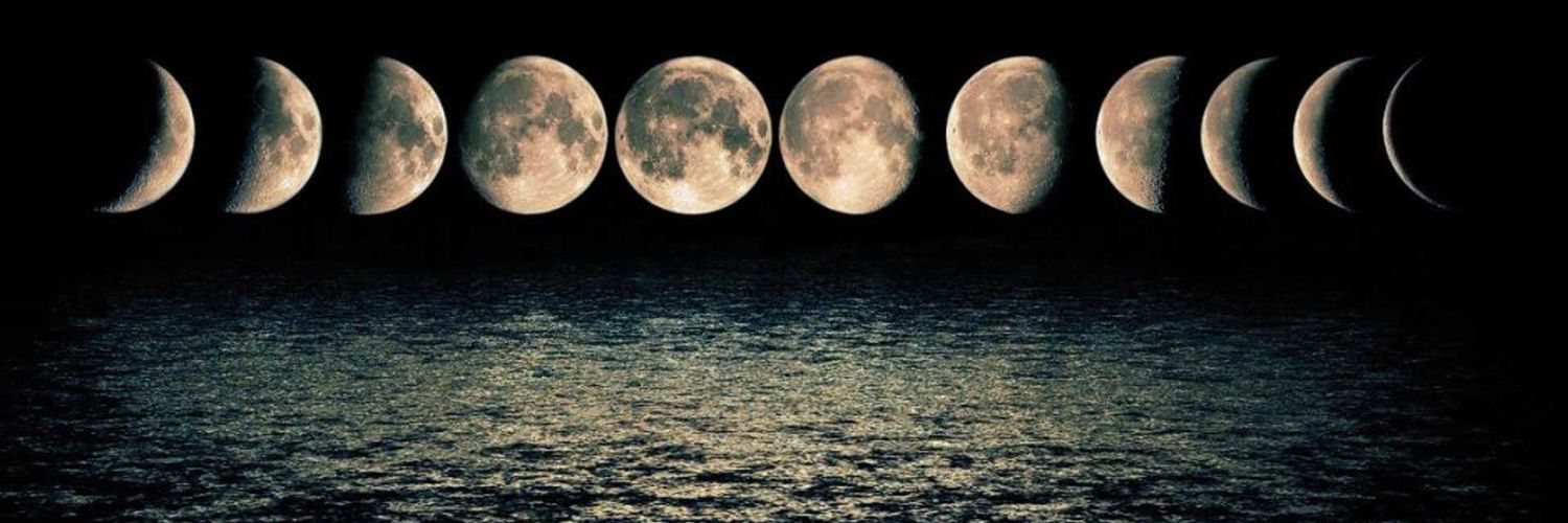Belu🌻🐼🌙's banner
