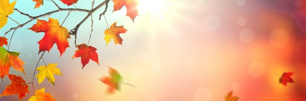 🍁 Emily 🍁's banner