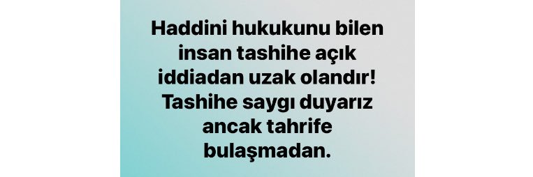 filiz akgün's banner