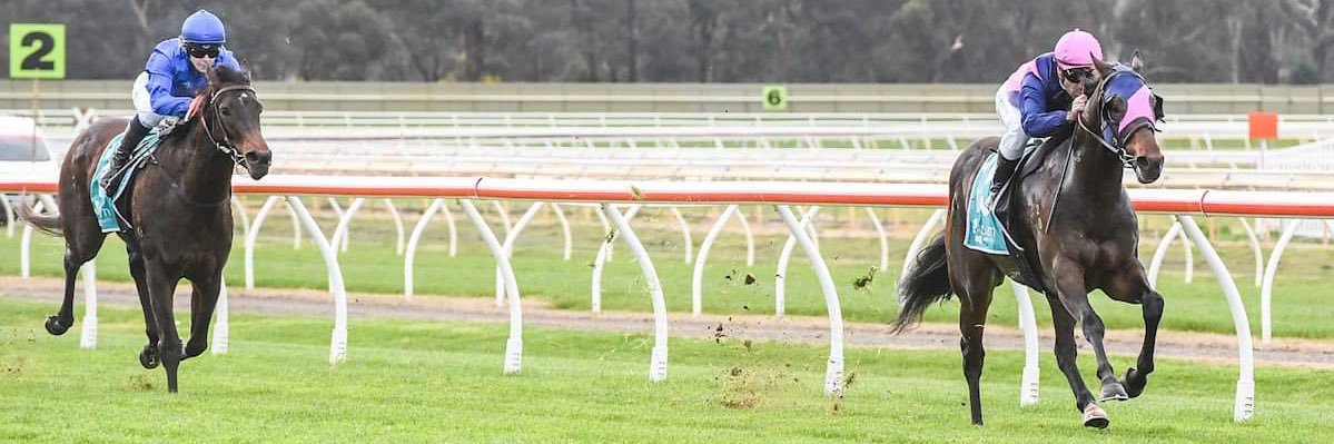 Jake Bourke's banner