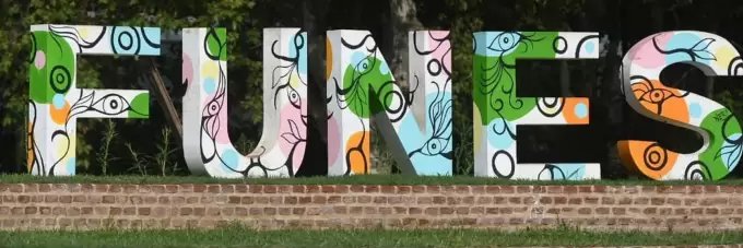 Ana Piccinini's banner
