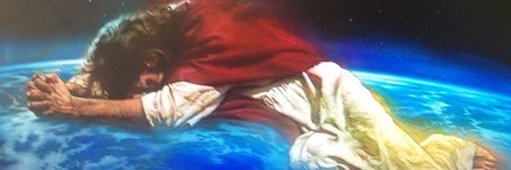 Believing Patriot's banner