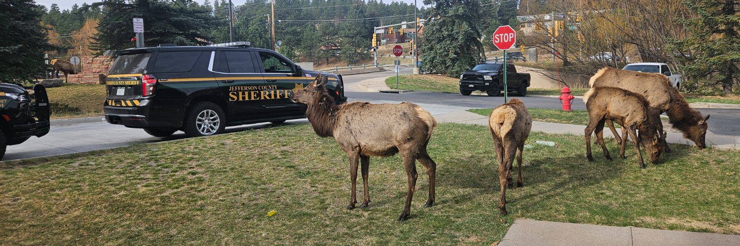 Jeffco Sheriff's banner