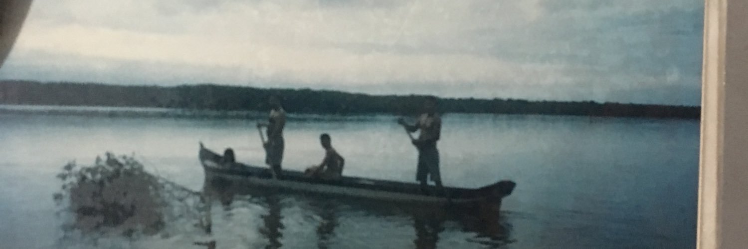 aninháà's banner