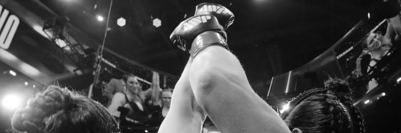 Ronda Rousey's banner