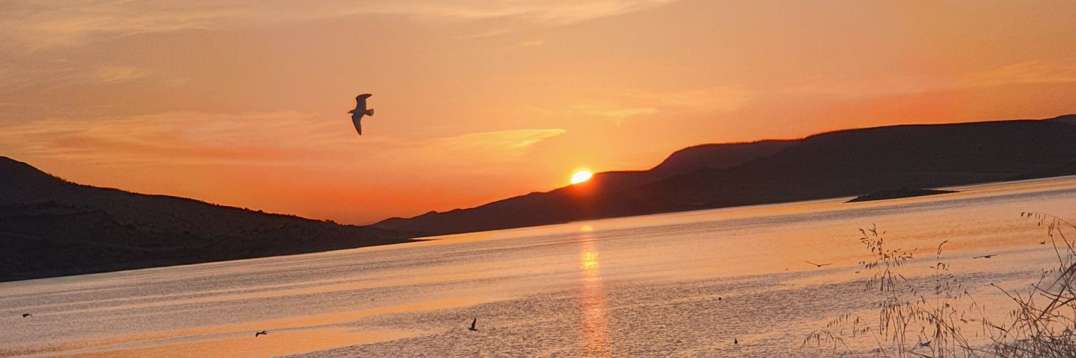 Seçkin 🇹🇷's banner