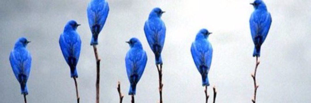 امفرج المجفل's banner