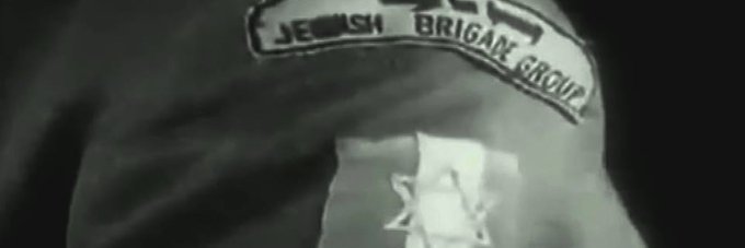 Brigade juive's banner