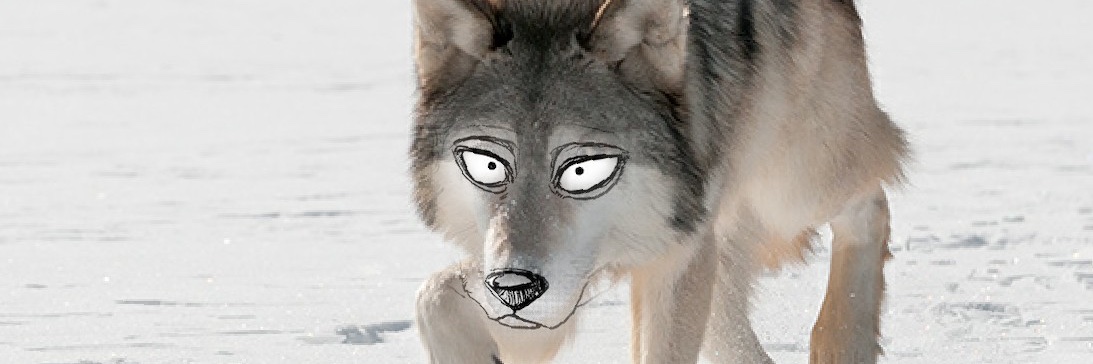 Data Wolf 🐺's banner