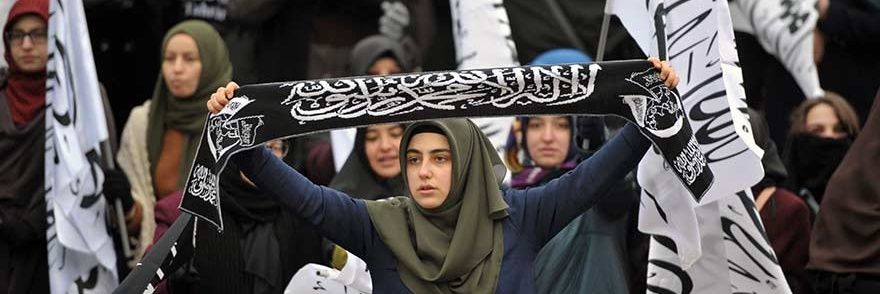 د. بهلول's banner