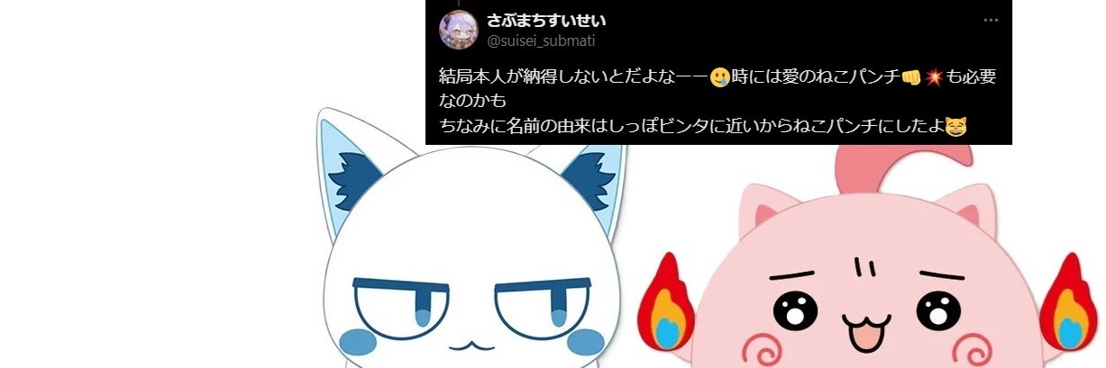 ねこパンチ☄️🌸's banner
