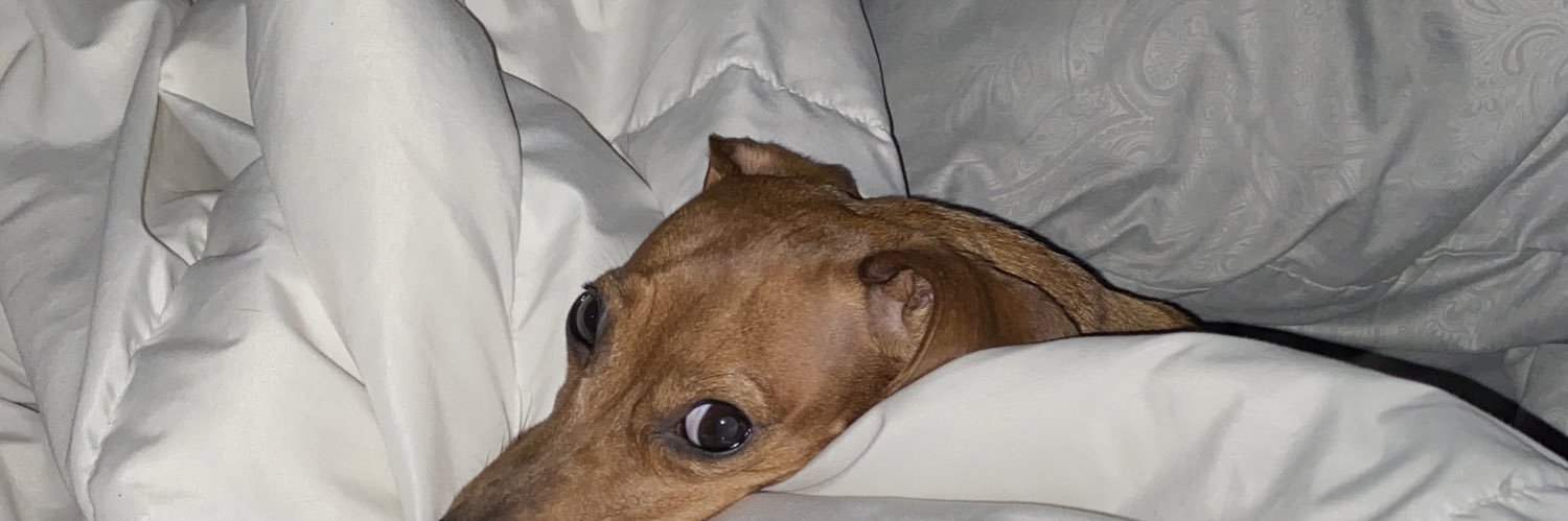 susie weakly's banner