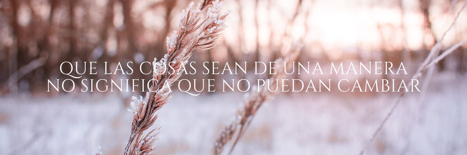 Berto ✨'s banner