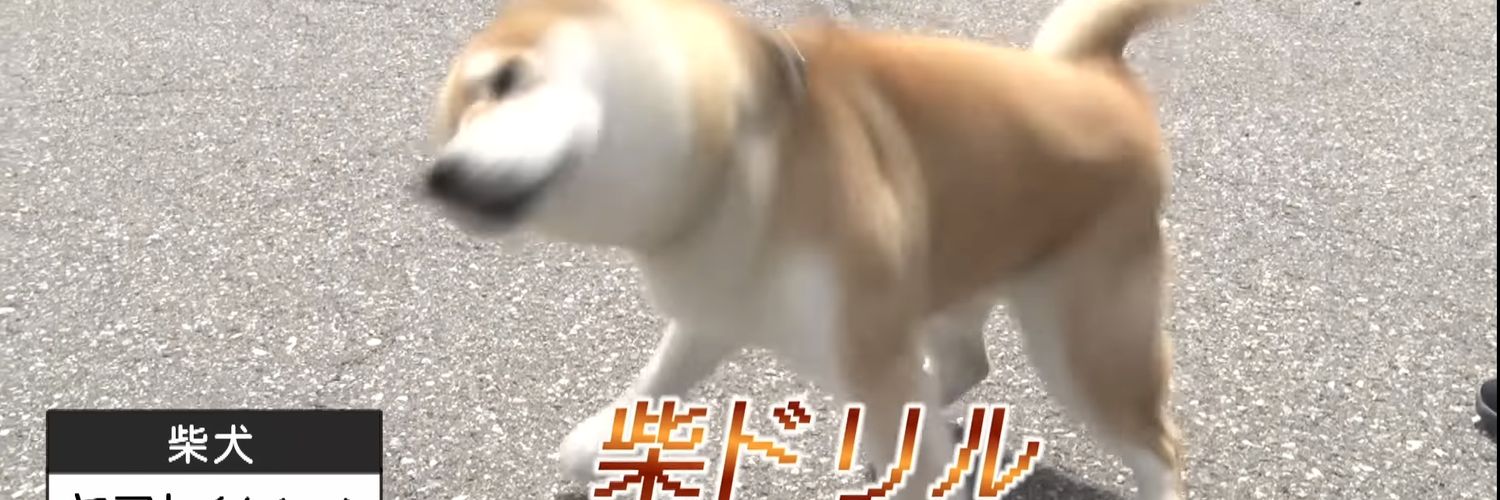 かずみん's banner