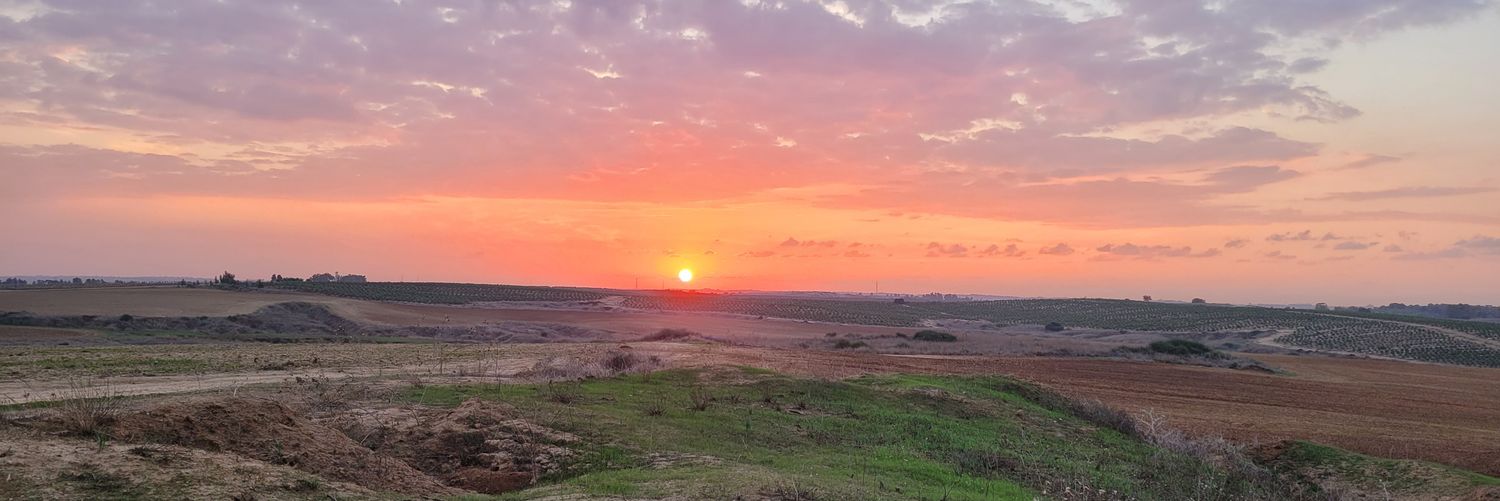 חיים ילין Haim Jelin's banner