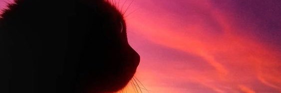 🇵🇸A̶N̶A̶A̶R̶I̶ Iqra | اقراء's banner