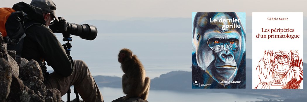 Cédric Sueur - Les Péripéties d'un primatologue's banner