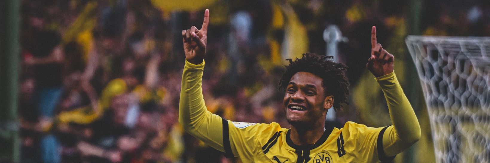 Petr🐝's banner