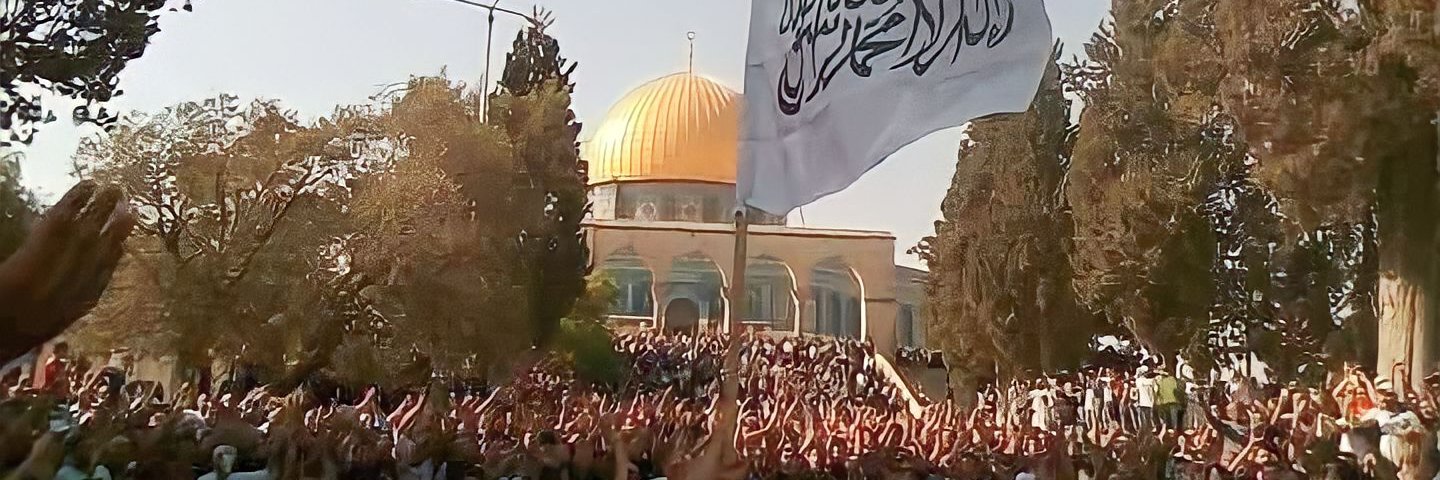 محمد المنيس's banner