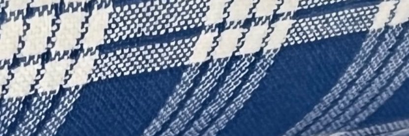 ぱらか's banner
