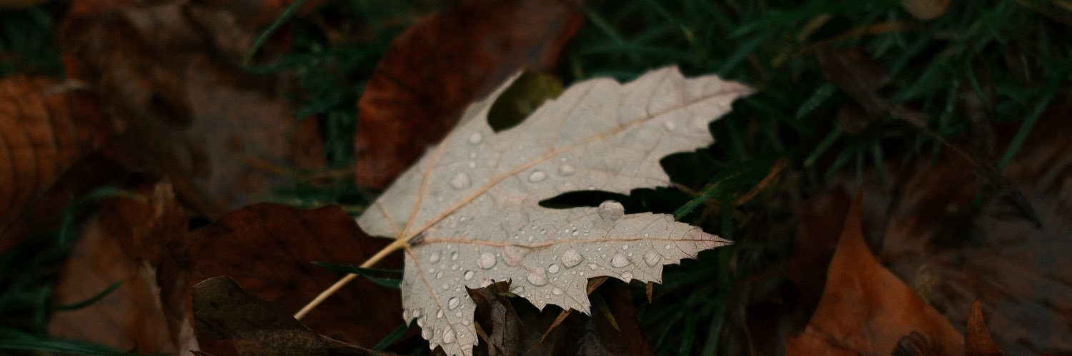🫧's banner