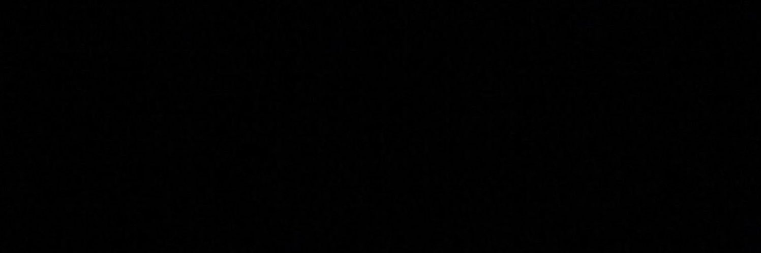 عندما تغرد الحمير's banner