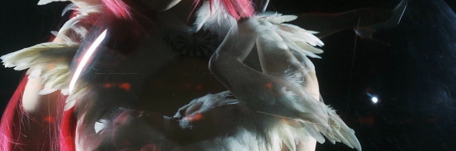 drey's banner