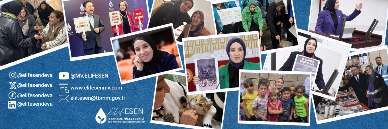 Elif Esen's banner