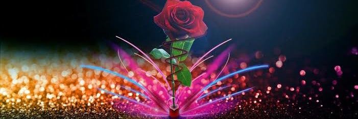 شمس 🇵🇸🔻's banner