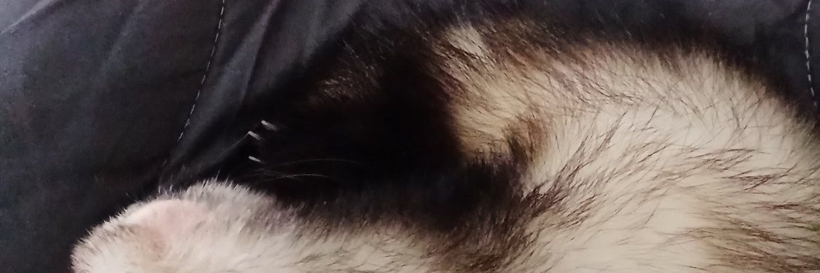 ɢʟᴏᴏᴍʏ.🤍's banner