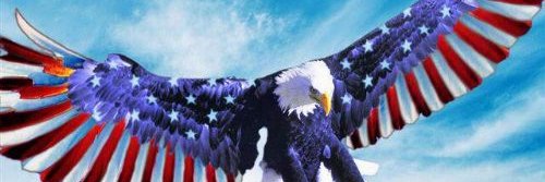 David Beswick🇺🇸💙🚔🍺🥃⚔️🗽🎊👮IFBAP🇮🇱's banner