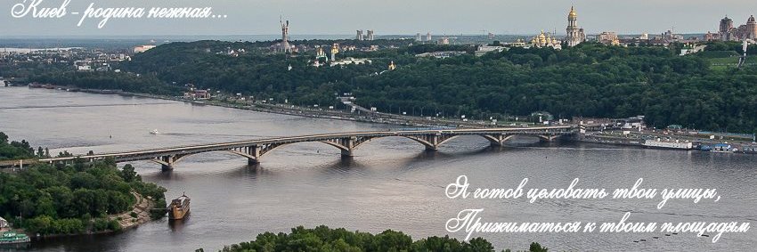 Дмитро Чекалкин's banner