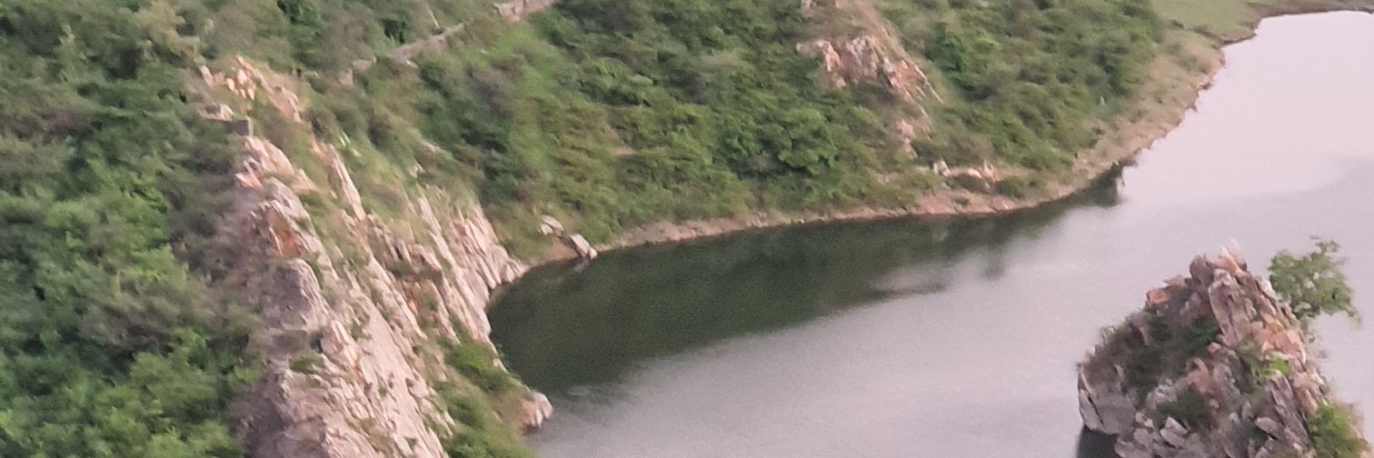 Ronak Hadpawat's banner
