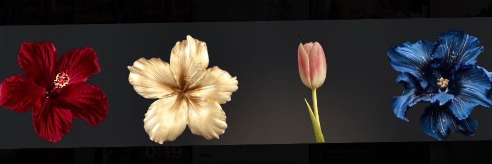 nosy rosy💕's banner