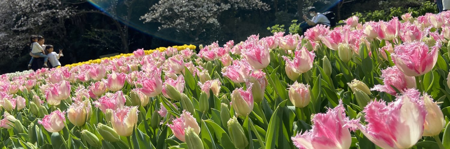 吉元よしもと's banner