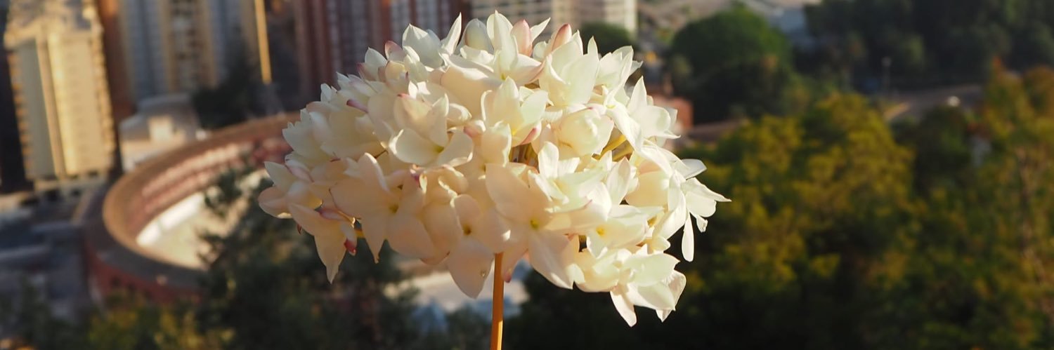 Málaga con acento's banner